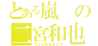 とある嵐の二宮和也（つっこみたんとう）