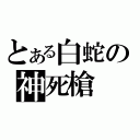 とある白蛇の神死槍（）