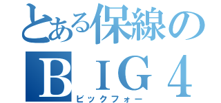 とある保線のＢＩＧ４（ビックフォー）