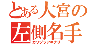 とある大宮の左側名手（カワヅラアキナリ）