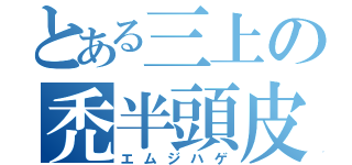 とある三上の禿半頭皮（エムジハゲ）