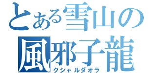 とある雪山の風邪子龍（クシャルダオラ）