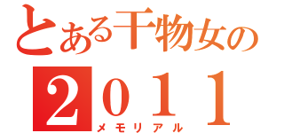 とある干物女の２０１１（メモリアル）