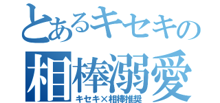 とあるキセキの相棒溺愛（キセキ×相棒推奨）