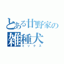 とある廿野家の雑種犬（ミックス）