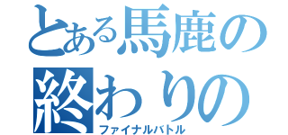 とある馬鹿の終わりのバトル（ファイナルバトル）