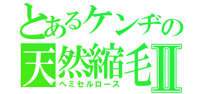 とあるケンヂの天然縮毛Ⅱ（ヘミセルロース）