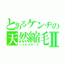 とあるケンヂの天然縮毛Ⅱ（ヘミセルロース）