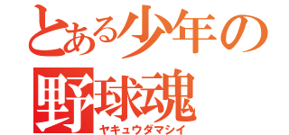 とある少年の野球魂（ヤキュウダマシイ）