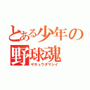 とある少年の野球魂（ヤキュウダマシイ）