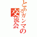 とあるガンマの交流会（）