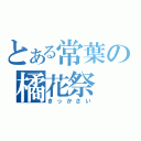 とある常葉の橘花祭（きっかさい）