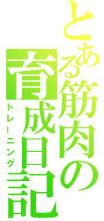 とある筋肉の育成日記（トレーニング）