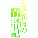 とある筋肉の育成日記（トレーニング）