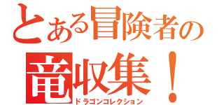 とある冒険者の竜収集！（ドラゴンコレクション）