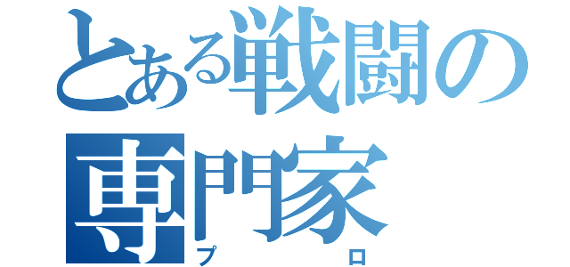 とある戦闘の専門家（プロ）