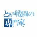 とある戦闘の専門家（プロ）