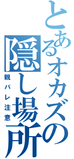 とあるオカズの隠し場所（親バレ注意）