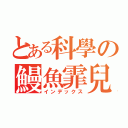 とある科學の鰻魚霏兒（インデックス）