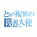 とある複製の親善大使（俺は悪くねえっ！）