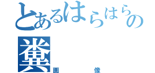 とあるはらはらの糞（画像）