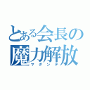 とある会長の魔力解放（マダンテ）