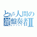 とある人間の鍵盤奏者Ⅱ（ピアニスト）