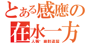 とある感應の在水一方（人稱‧絶對追蹤）