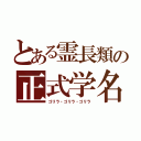 とある霊長類の正式学名（ゴリラ・ゴリラ・ゴリラ）