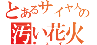 とあるサイヤ人の汚い花火（キュイ）