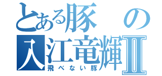 とある豚の入江竜輝Ⅱ（飛べない豚）