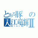 とある豚の入江竜輝Ⅱ（飛べない豚）