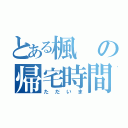 とある楓の帰宅時間（ただいま）