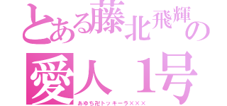 とある藤北飛輝の愛人１号（あゆち卍トッキーラ×××）