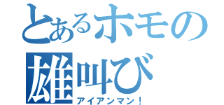 とあるホモの雄叫び（アイアンマン！）