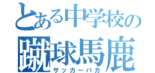 とある中学校の蹴球馬鹿（サッカーバカ）