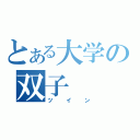 とある大学の双子（ツイン）