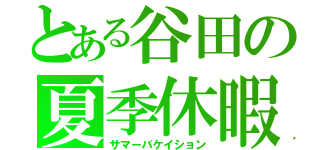 とある谷田の夏季休暇（サマーバケイション）