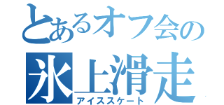 とあるオフ会の氷上滑走（アイススケート）