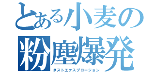 とある小麦の粉塵爆発（ダストエクスプロージョン）