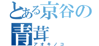 とある京谷の青茸（アオキノコ）