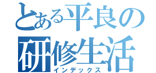 とある平良の研修生活（インデックス）
