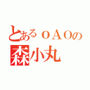 とあるｏＡＯの森小丸（）