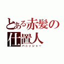 とある赤髪の仕置人（パニッシャー）