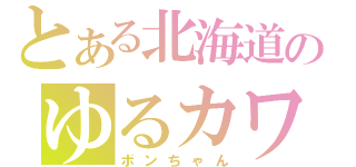 とある北海道のゆるカワ（ボンちゃん）