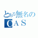 とある無名のＣＡＳ（）