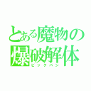 とある魔物の爆破解体（ビックバン）