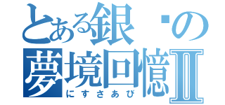 とある銀醬の夢境回憶錄Ⅱ（にすさあび）