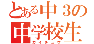 とある中３の中学校生活（カイチュウ）