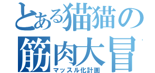 とある猫猫の筋肉大冒険（マッスル化計画）